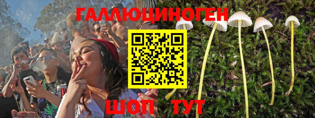 Псилоцибиновые грибы MAGIC MUSHROOMS  Вход с VPN  Галлюциногенные грибы MAGIC MUSHROOMS  Новый Уренгой 